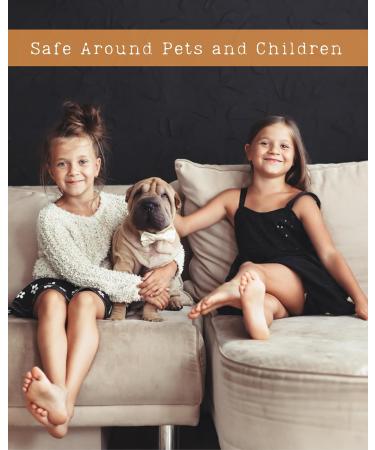 Brazilian Summer Natural Hair & Body Mist Spray Inspired by Bum Bum Pure Essential and Fragrance Oils Alcohol-Free Handmade in California 0.5Fl Oz Brazilian Summer 0.5 Fl Oz - Buy Online on GoSupps.com