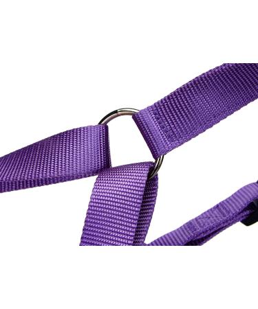 Nobby Harness Classic - Purple 70-90 cm 25 mm Width | Premium Pet Gear for International Shipping - Buy Online on GoSupps.com