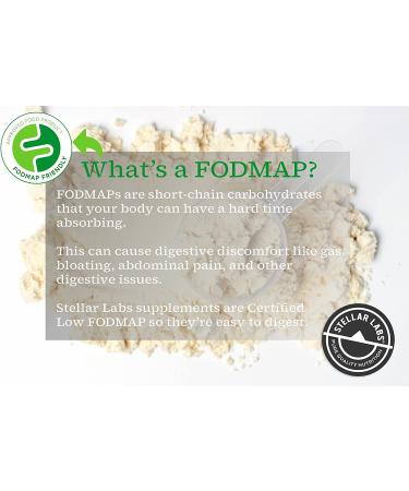 Stellar Labs Chocolate Whey Protein Powder with BCAA's & Whey Isolate | Low FODMAP Certified, Non GMO, Gluten Free, Soy Free | Ideal for Keto & Post Workout | 2lb Pack - Buy Online on GoSupps.com