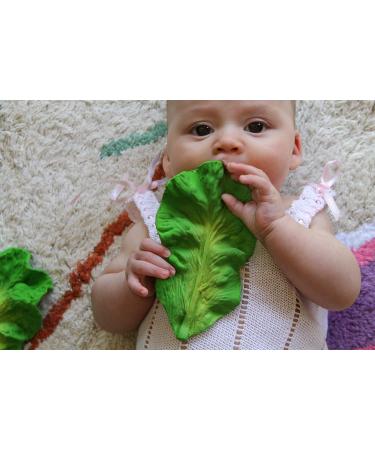 Buy Oli&Carol Salad Teething Ring & Bath Toy - Fun Fruits & Vegetables for Babies | International Shipping - Buy Online on GoSupps.com