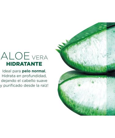  Garnier Garnier Fructis Shampoo + Conditioner + Mask Pack for normal to dry hair with moisturizing cleansing Aloe Vera. - Buy Online on GoSupps.com