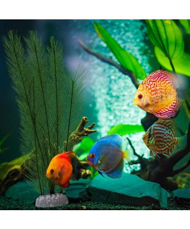 Buy Aquarium Plants Decoration - Lifelike Plastic & Artificial Aquatic Plants for Stunning Aquarium Decor - Buy Online on GoSupps.com
