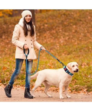 Haapaw Reflective Dog Collar - Soft Neoprene & Breathable Nylon for Small to Medium Dogs - Blue Size S (1-Pack) - International Shipping Available - Buy Online on GoSupps.com