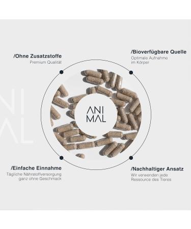  Everstack Colostrum Capsules 240 Counts - Immune System & Gut Support - 960mg Immunoglobulin G - Natural Cow Colostrum Powder Primary Milk - Grass Fed Colostrum - Neutral - Buy Online on GoSupps.com