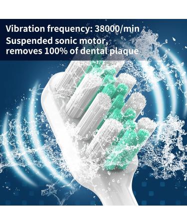 LANDWIND Sonic Electric Toothbrush - Rechargeable Travel Brush with 2 Heads, 5 Modes - 2 Months Lasting, 2-Min Timer, IPX7 Waterproof - White - Buy Online on GoSupps.com