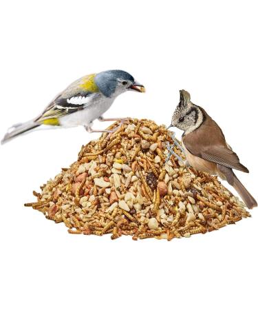 Paul's Mill Premium All-Year Wild Bird Feed - High Fat Content 10kg Pack for Year-Round Feeding - Buy Online on GoSupps.com