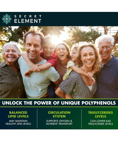 (2 PACK) Citrus Bergamot Extract 1000mg - Citrus Bergamot Supplement for Circulatory Health Immunity and Graceful Aging - 2x the potency of Citrus Bergamot 500mg - 240 Vegan Citrus Bergamot Capsules 120 Count (Pack of 2) - Buy Online on GoSupps.com