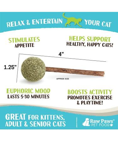 Raw Paws Catnip Lollipop (6-Pack) - Catnip Toys for Indoor Cats - Catnip Ball, Silvervine & Matatabi Stick for Cats - Buy Online on GoSupps.com