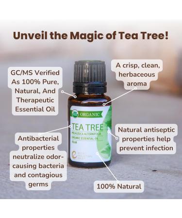 Rocky Mountain Oils Organic Tea Tree Essential Oil - 100% Pure & Natural Aromatherapy for Skin Hair & Diffuser - Therapeutic Grade USDA Approved - Buy Online on GoSupps.com