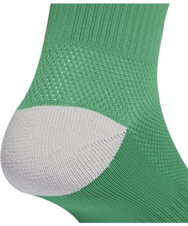 Buy adidas Unisex Milano 23 Knee Socks - Team Green/White | International Shipping Available - Buy Online on GoSupps.com