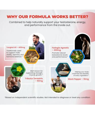 Ultra Test Capsule 12 in 1 Complex with L-Arginine, Fadogia Agrestis, Tribulus Terrestris, Maca Root, Beetroot, L-Citrulline, Creatine (90-Day Supply) - Buy Online on GoSupps.com