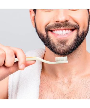 Shield Care Smokers Toothbrush - Expert Care Hard Bristles - Removes Stains - 4 Count - Buy Online on GoSupps.com