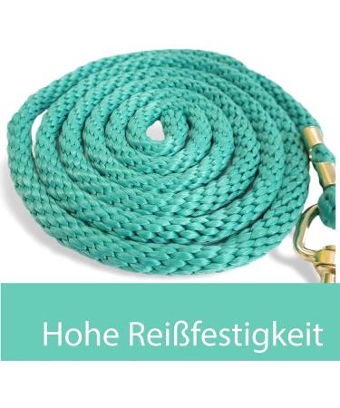 Shop Stylish Leading Knit for Horses - Versatile Leash for Ponies Donkeys & Goats (Turquoise + Purple) - Buy Online on GoSupps.com