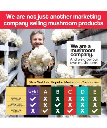 Stay Wyld Organics - Chaga Mushroom Supplement - 100% Canadian Mushroom Organic Chaga Capsules Supplements for Natural Cholesterol Level and Immune Support Non-GMO 90 Capsules Pouch - Buy Online on GoSupps.com