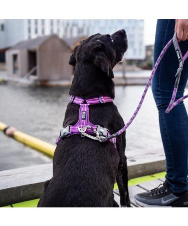 DOG Copenhagen Comfort Walk Air Harness - Size L, Black | Breathable and Durable - Buy Online on GoSupps.com