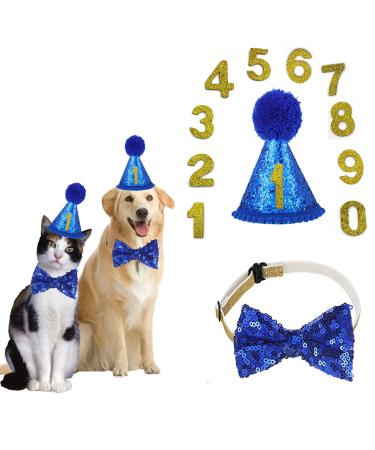 Dher pet birthday set with golden sequins hat birthday hat party decoration set dog birthdayshut fly cat dog birthday sequin decoration accessories festive party (blue) - Buy Online on GoSupps.com