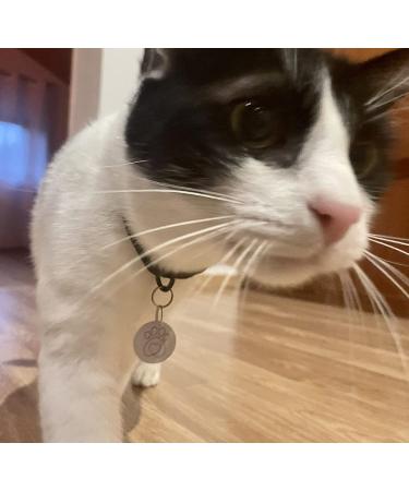 Sureflap Surefeed Microchip RFID Collar Tags Disc Key Replacement - Pack of 2 - Buy Online on GoSupps.com