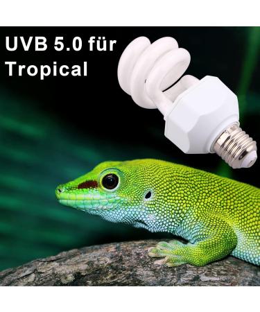 Dernord UVB & UVA Light Bulb 5.0 - 15W Compact UV Lamp for Lizards Geckos Turtles & Snakes - Ideal for Reptile Habitat - Buy Online on GoSupps.com