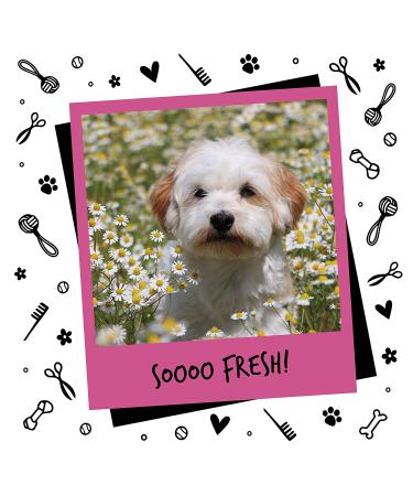BUGALUGS Baby Fresh Dog Perfume - 6.8 oz Vegan Cologne Spray for Dogs | Deodorizer & Grooming Spray - Buy Online on GoSupps.com