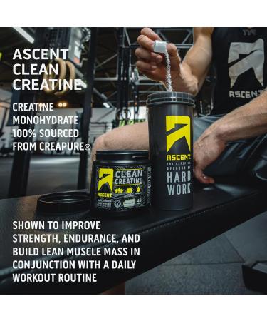 Ascent Clean Creatine Monohydrate Powder | 5G Creapure Creatine Supplement | Unflavored | 45 Servings - International Shipping - Buy Online on GoSupps.com