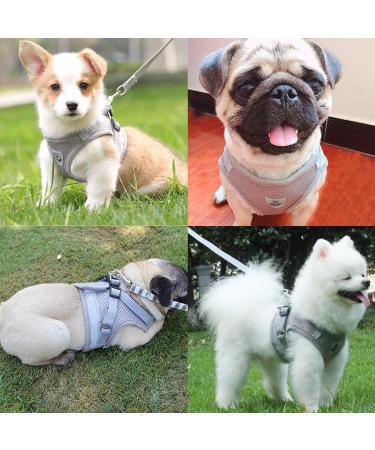 Kitten Harness and Lead Set Kitten Harness Cat Harness Cat Leash for Walking Escape Proof Puppy Kitten Vest Harnesses for Small Dogs Animals Rabbit/Mouse/Cats Cat Collar XS Grey - Buy Online on GoSupps.com