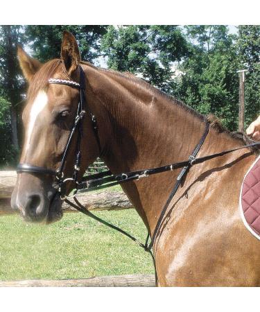 AMKA Thiedemann combination auxiliary reins black warmblood adjustable