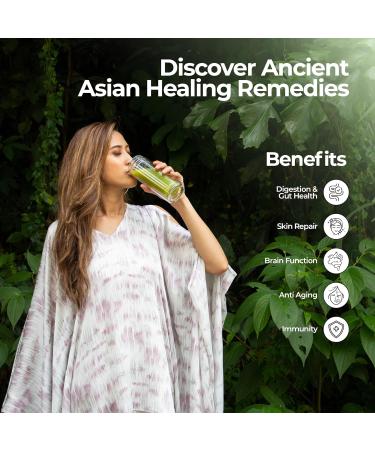 Pegaga (Gotu Kola) Herbal Blend | Rejuvenate Your Health with Ancestral Malaysian Wisdom | Immunity Gut Skin and Mind Support | 100% Natural Vegan Gluten-Free Powder | 30 Sachets 0.45 Ounce (Pack of 30) 30 - Buy Online on GoSupps.com