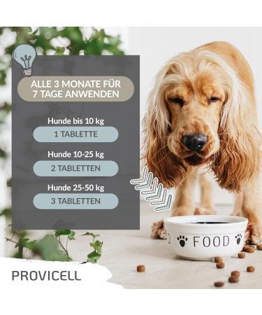 Provicell Para-W-Vital | Natural Worm Cure & Deworming Agent for Dogs | Veterinarian Developed in Germany | 120 Tablets for Effective Support - Buy Online on GoSupps.com