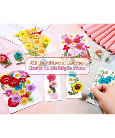 Real Dried Pressed Flowers for Resin - 150 Pcs Natural Dry Flowers & Leaves Kit for DIY Crafts - Scrapbooking, Jewelry Making, Candle & Soap Making Supplies - Buy Online on GoSupps.com