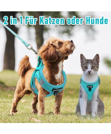 UVTQSSP Dog Harness for Small Dogs - Padded with Leash Lightweight & Adjustable Puppy Harness in Light Blue - Buy Online on GoSupps.com