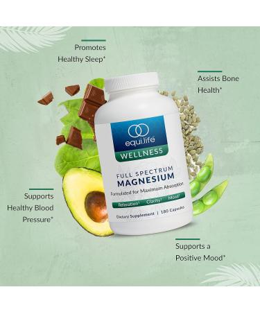 Equilife - Activated B Complex (60 ct.) Full Spectrum Magnesium (180 ct.) Daily Activated Multi-Vitamin (30 Servings) - Buy Online on GoSupps.com