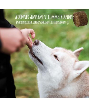 Schn ffelfreunde Magen Darm - Dog I Digestive Supplements for Dogs - Tablets for Digestive and Gastric Support - Made in Germany (300g) - Buy Online on GoSupps.com