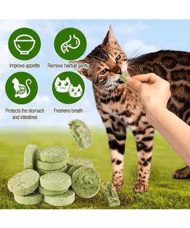 90g Cat Grass Treats Cat Grass Teething Stick for Hairball Remove and Teeth Cleaning Edible Cat Grass Stick Snack - Buy Online on GoSupps.com