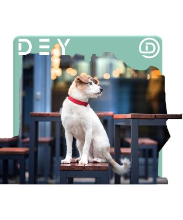 Dey Premium Nylon Dog Collar - Adjustable for Small & Large Dogs | Multiple Colors & Sizes | Dog Cat & Puppy Neck Bands | Lila L - 2.5 x 45-68 cm Purple - Buy Online on GoSupps.com