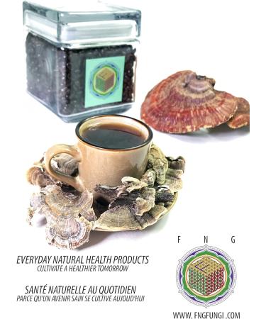 Mushroom Coffee : Blended America. Cordycep & Reisi - Buy Online on GoSupps.com