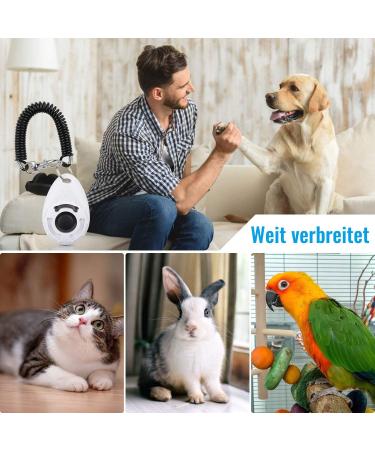Diyife Training Clicker for Dogs Cats & Horses - 2 Pack with Large Button & Hand Loop | Effective Pet Training Tool - Buy Online on GoSupps.com