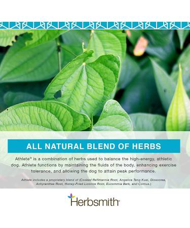Herbsmith Athlete Canine Endurance Supplement 500g Powder - For Working and Agility Dogs - Buy Online on GoSupps.com