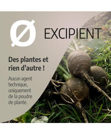 Organic Black Radish 270 mg - 100 capsules - Ecocert Certified - Orgaliane - Buy Online on GoSupps.com