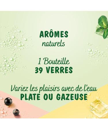 Teisseire Strawberry Mojito Flavor Syrup for Cocktail and Cocktail without Alcohol Refreshing Drink Natural Flavors Bottle 60cl - Buy Online on GoSupps.com