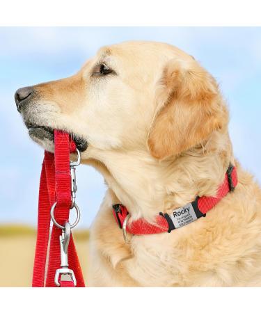 Personalized Gisurey Dog Tags - Engraved Stainless Steel Silent Slide-On for Dogs & Cats | Durable & Easy to Read | Black & Silver - Perfect for Neck Bands - Buy Online on GoSupps.com