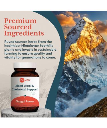 ruved Guggul Power - Metabolic Vitamins for Women and Men Daily Pill Pure and Natural Metabolic Health Supplement with Guggul - 90 Vegetarian Capsules (1 Count) - Buy Online on GoSupps.com