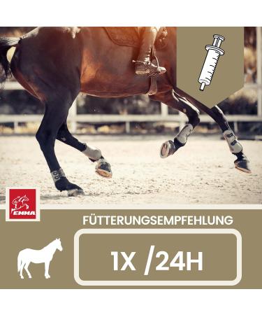 Emma Electrolyte Horse Paste with Vitamins - B Complex Sodium Potassium & Magnesium for Recovery Diarrhea Relief & Mineral Support - Buy Online on GoSupps.com