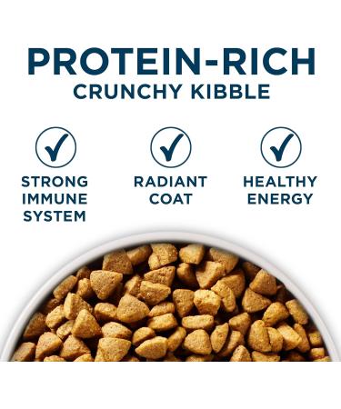 Purina ONE +Plus Dry Dog Food Skin & Coat with Salmon - 1.6 kg Bag 1.6 kg (Pack of 1) - Buy Online on GoSupps.com