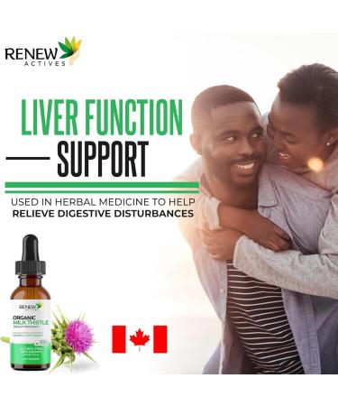 Renew Actives Milk Thistle Liquid Extract 110MG per 2ML Liver Support Drops for Optimal Health No Alcohol, Non-GMO, Vegan Supports Liver Function & Digestive Health Made in Canada 4 fl oz - Buy Online on GoSupps.com