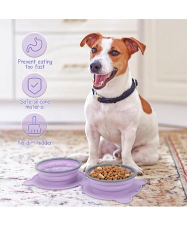 Buy 2-in-1 Foldable Silicone Dog Bowl - Slow Feeding Water & Travel Bowl for Dogs & Cats - Fressnapf - Purple - Buy Online on GoSupps.com