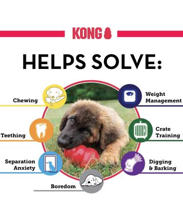 Kong Extreme Dog Toy - Durable Natural Rubber for Large Dogs | Chew Hunt & Retrieve - 1 Pack - Buy Online on GoSupps.com