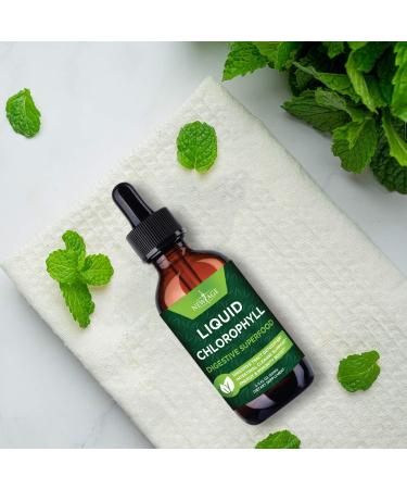 Chlorophyll Liquid Drops - Natural Energy Booster - Digestion & Immune Support - Internal Deodorant - Liver Function - 2 Fl Oz (1 Pack) - Buy Online on GoSupps.com