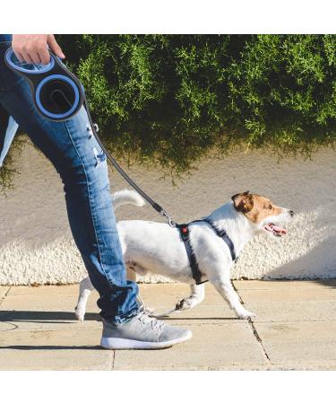 Moyouno 8m Retractable Dog Leash - High-End Automatic Dog Training Line for Small to Large Dogs (Up to 50kg) - Blue Color - Buy Online on GoSupps.com