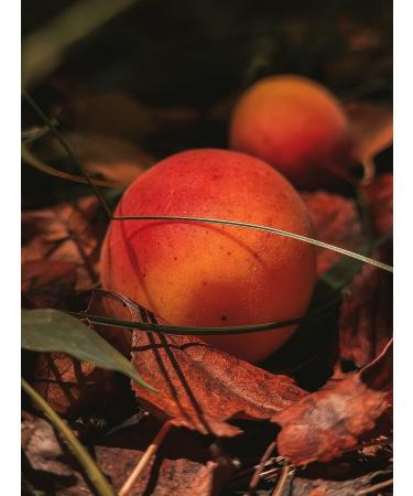 Suds Life Apricot Exfoliating Natural Soap - Best Exfoliating Soap Bar for Men & Women - Natural & Organic Skincare - Buy Online on GoSupps.com