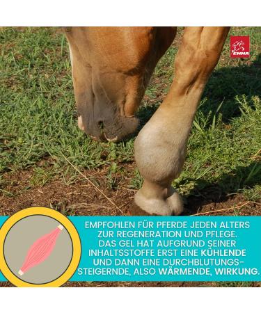 Refreshing Horse Balm 500ml Arnica Gel Extra Strength Gel I Horse Balm Tendons Ligaments & Muscles I Arnica Horse Ointment Cream Muscle Massage Gel for Horse Dog - Buy Online on GoSupps.com